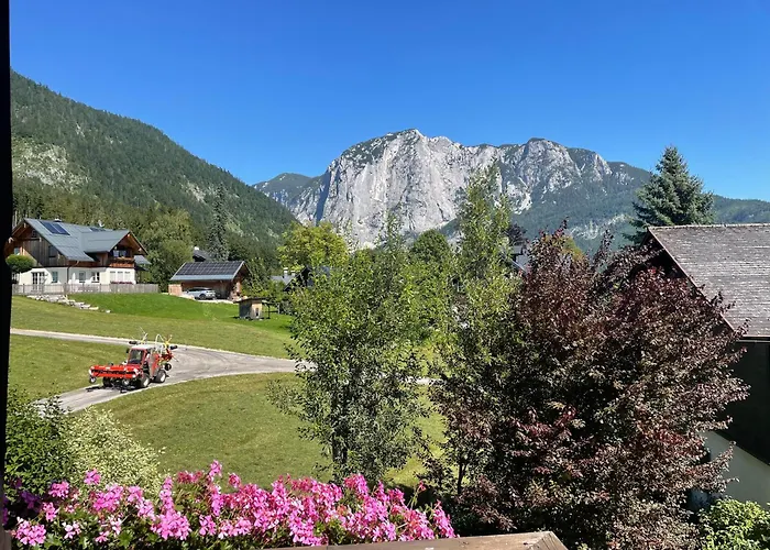 Elisabeth التوسي